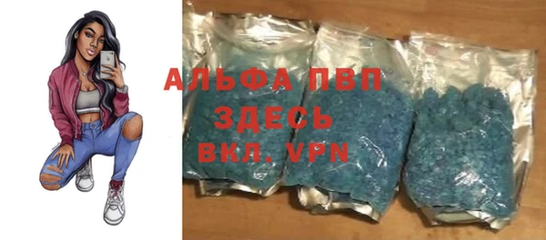 гидра Алексин