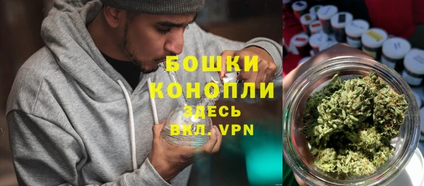 spice Осинники